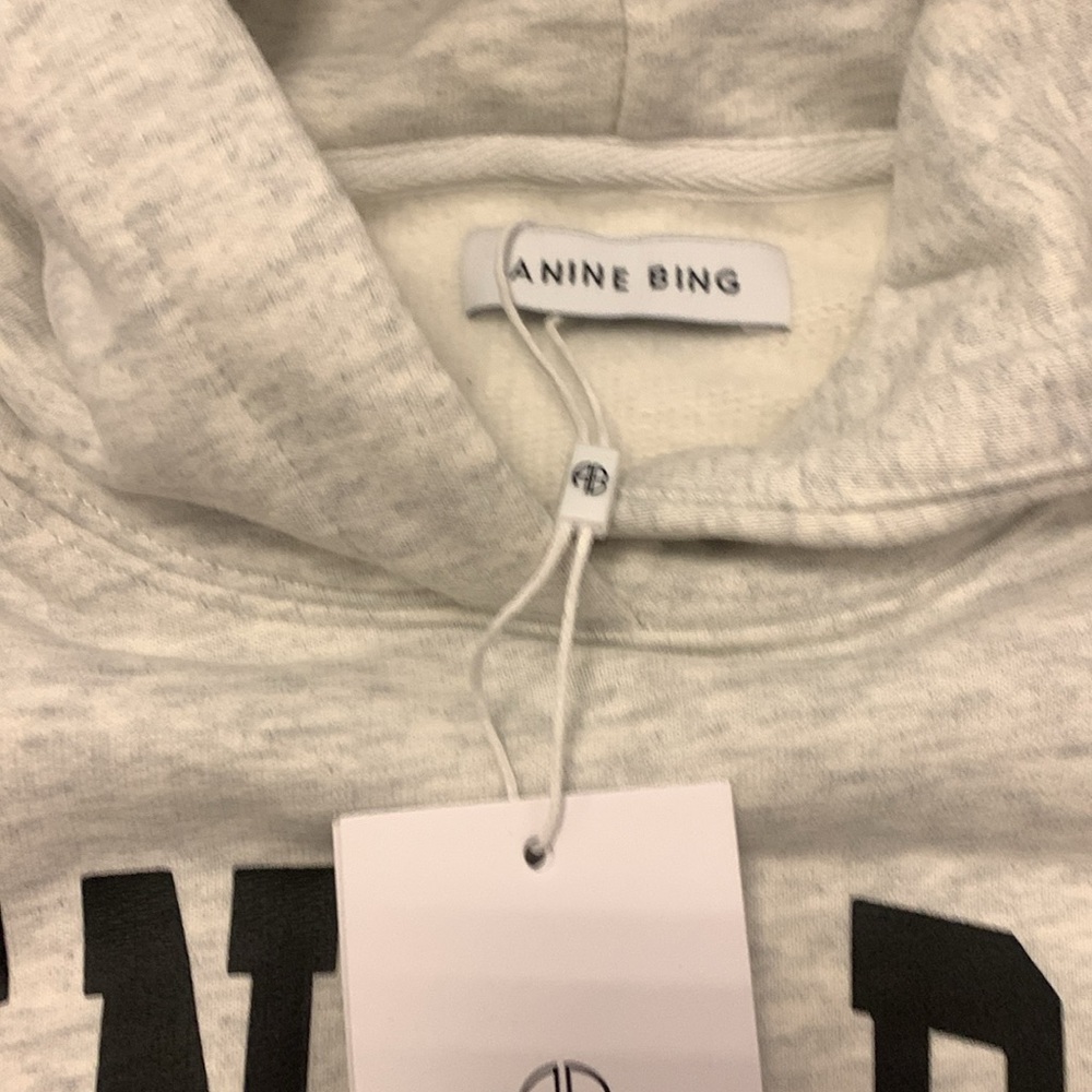 ANINE BING Gray Hoodie Sweater for Men - Picture 3 of 5